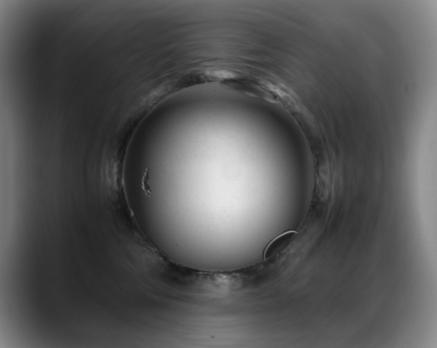 X0000089450330200706151436