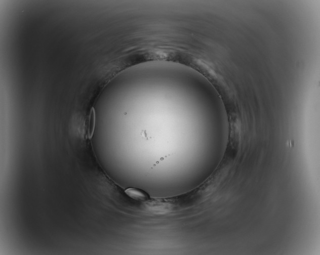 X0000089450331200706151436