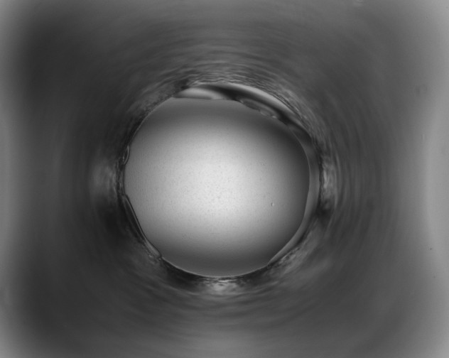 X0000089450333200706151436