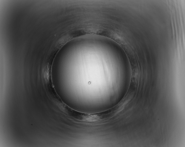 X0000089450334200706151436