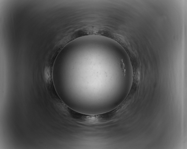 X0000089450335200706151436