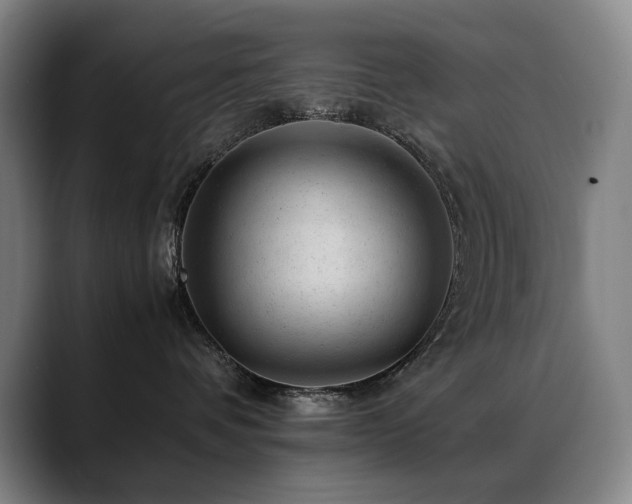 X0000089450336200706151436