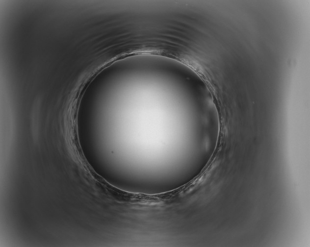X0000089450337200706151435