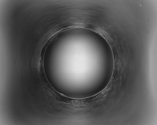 X0000089450338200706151435