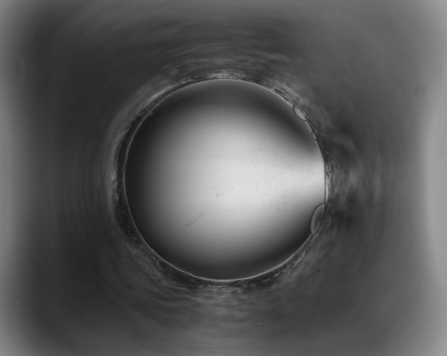 X0000089450339200706151435