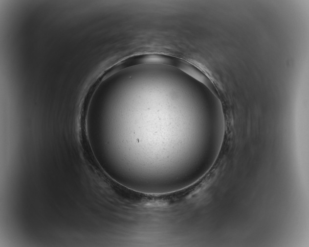 X0000089450340200706151435