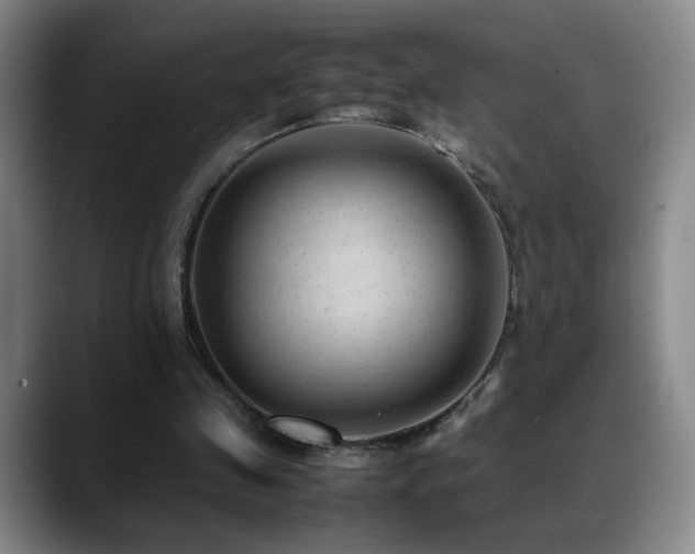 X0000089450341200706151435