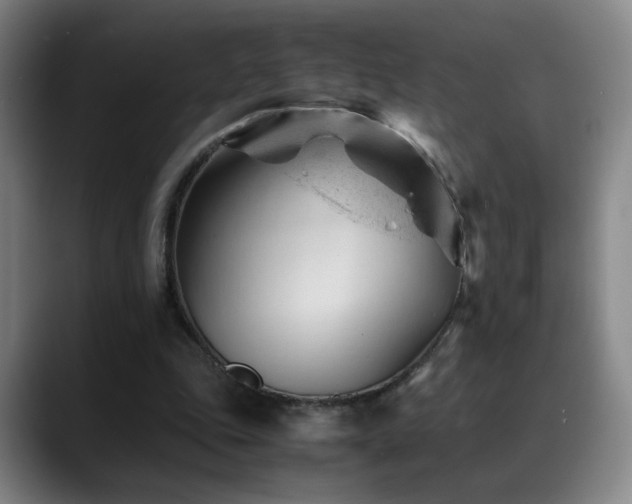 X0000089450343200706151435