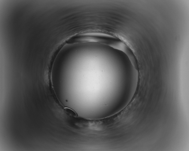X0000089450345200706151435