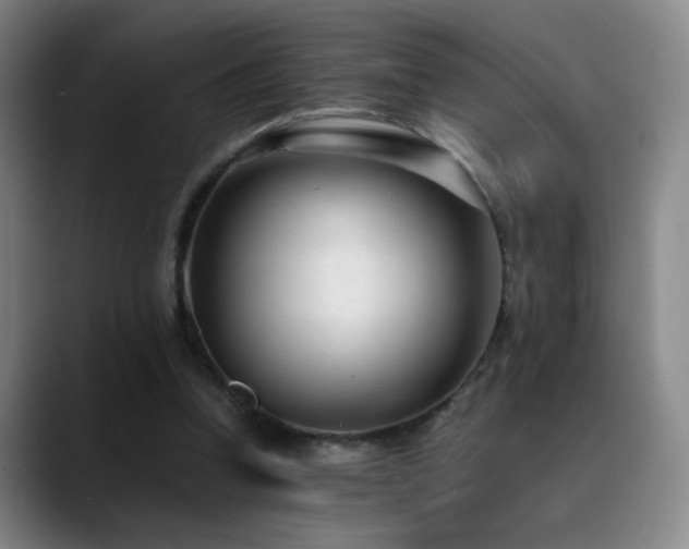 X0000089450346200706151435
