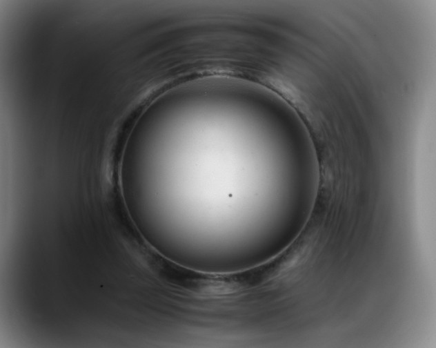 X0000089450347200706151435