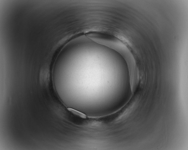 X0000089450348200706151435