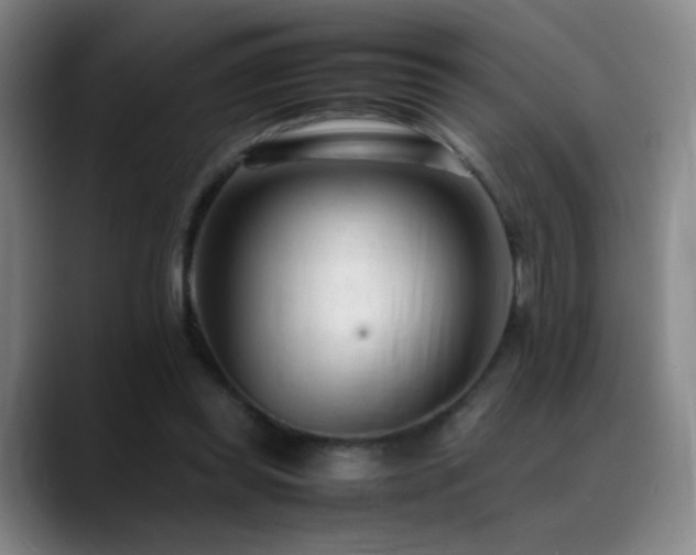 X0000089450349200706151436