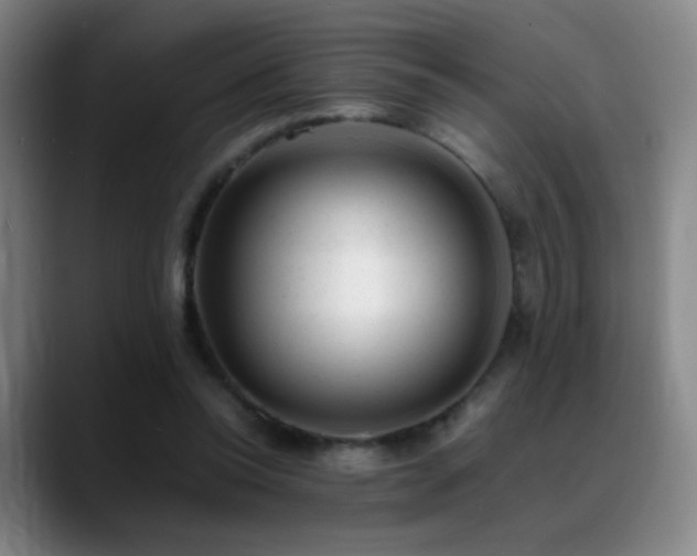 X0000089450350200706151436