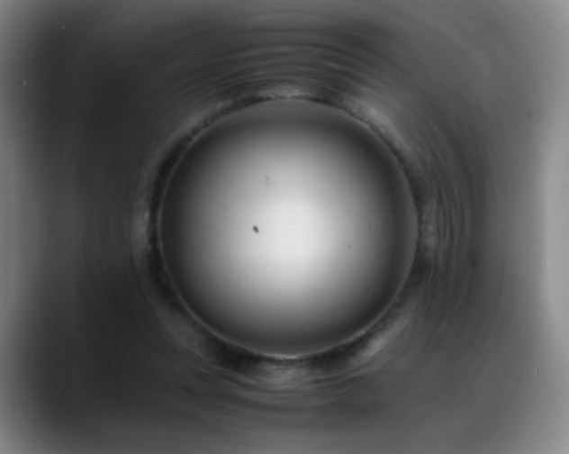 X0000089450351200706151436