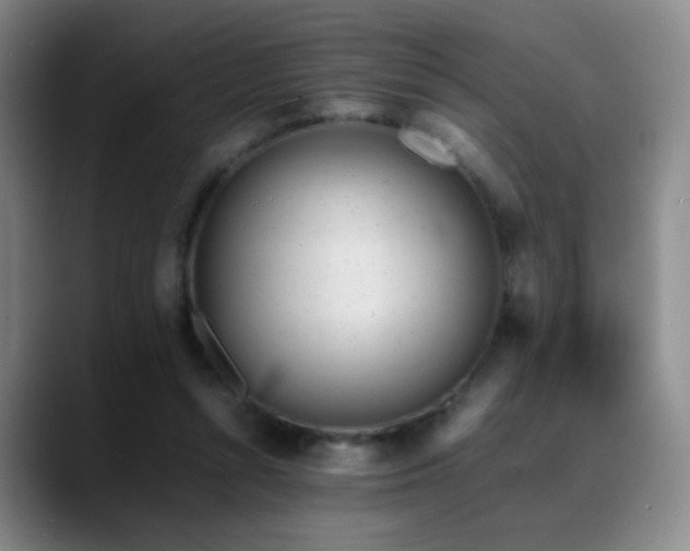 X0000089450352200706151436