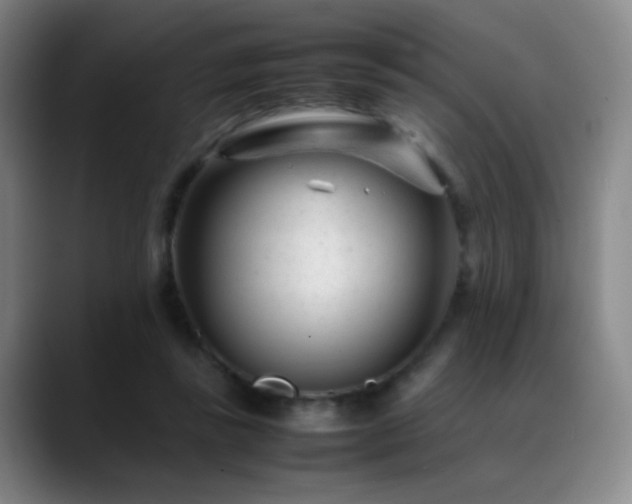 X0000089450355200706151436