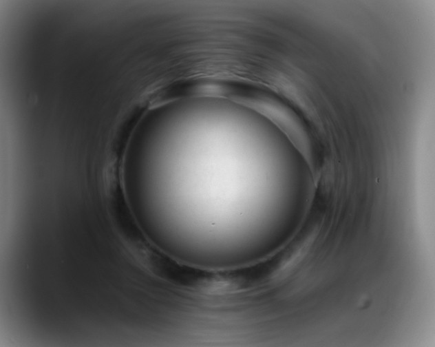 X0000089450356200706151436
