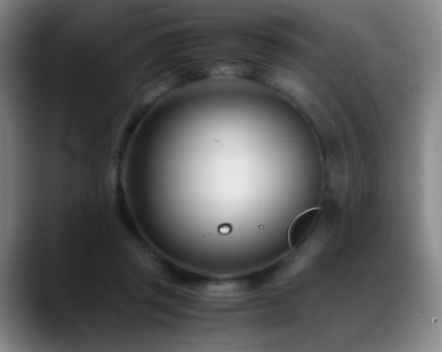 X0000089450357200706151436