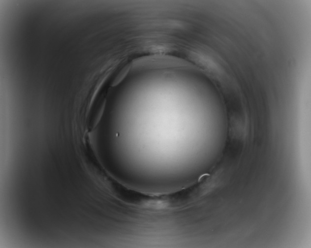 X0000089450358200706151436