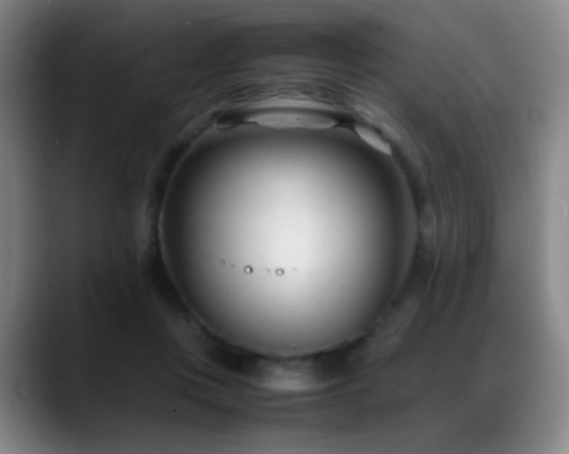 X0000089450359200706151436