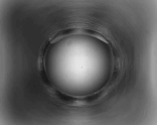 X0000089450360200706151436