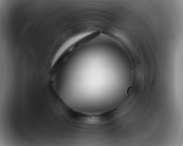 X0000089450361200706151436