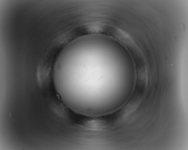 X0000089450364200706151436