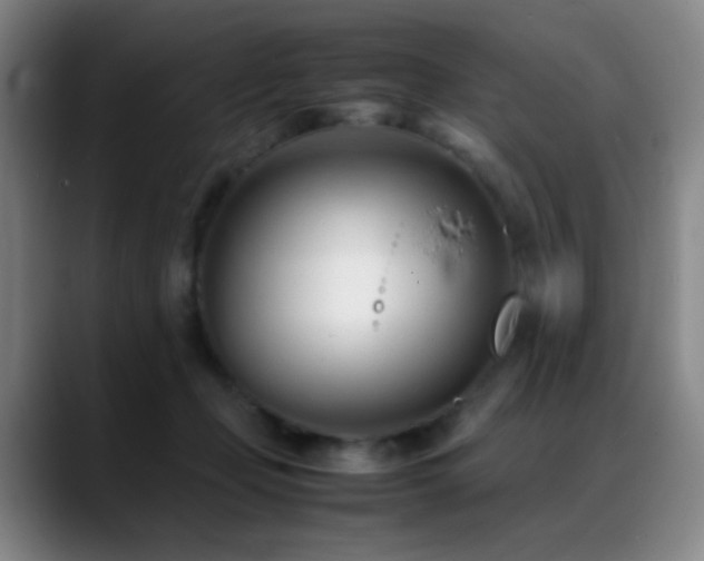 X0000089450365200706151436