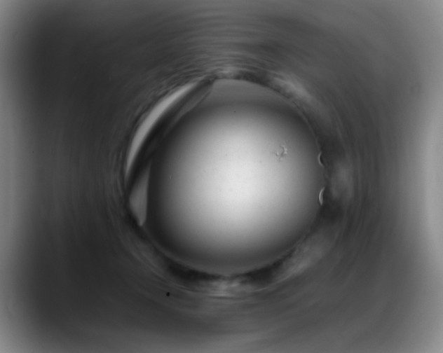 X0000089450366200706151436