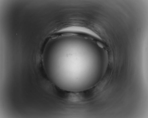 X0000089450367200706151436