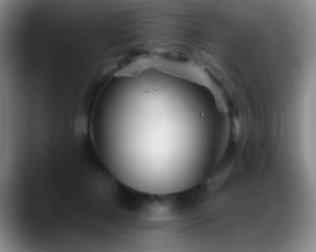 X0000089450368200706151436