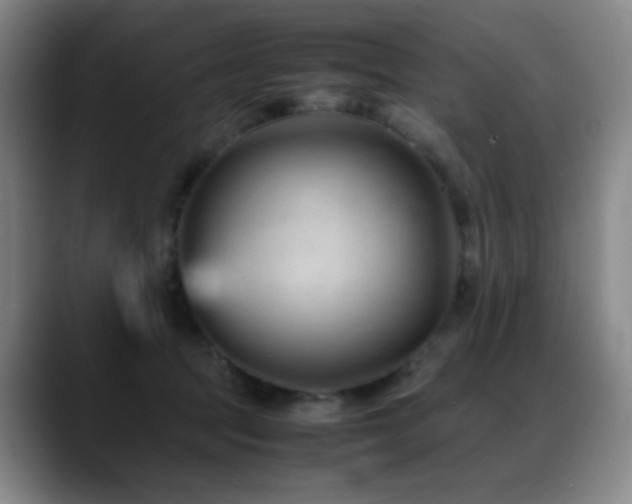 X0000089450369200706151436