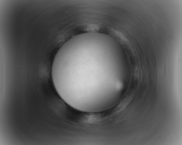 X0000089450370200706151436