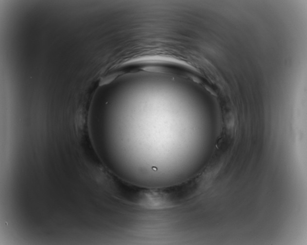 X0000089450372200706151436