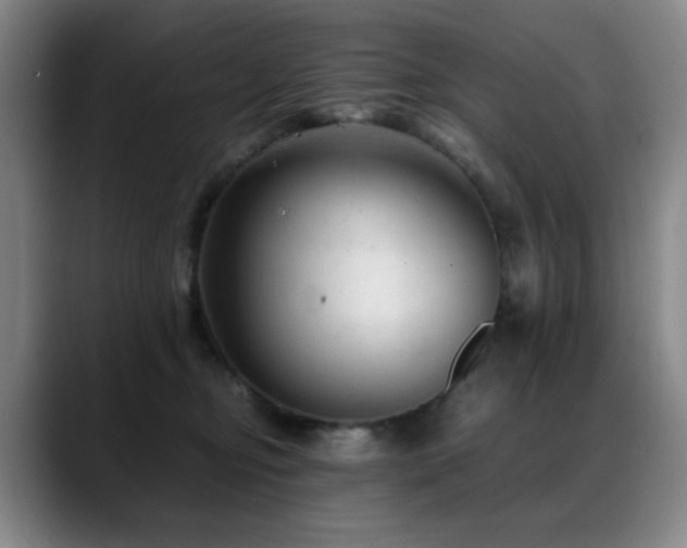 X0000089450374200706151436