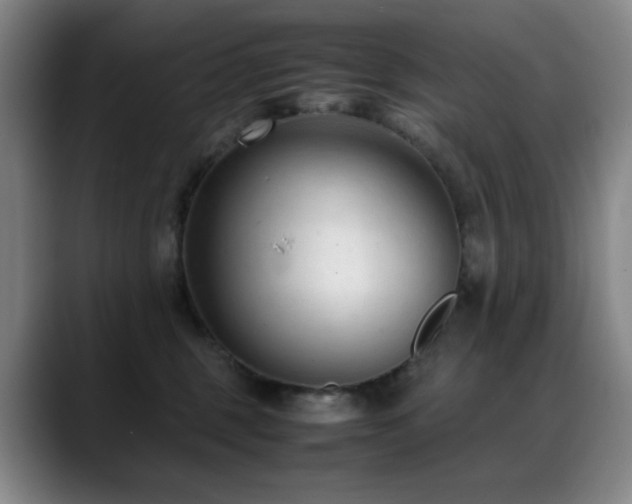 X0000089450375200706151436