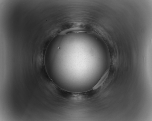 X0000089450376200706151436