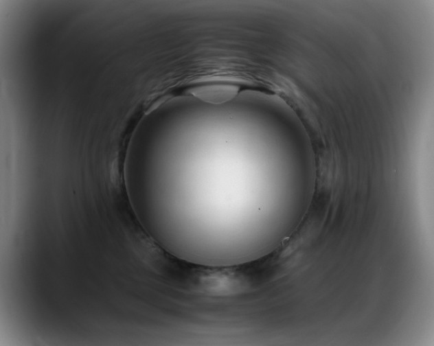 X0000089450377200706151436
