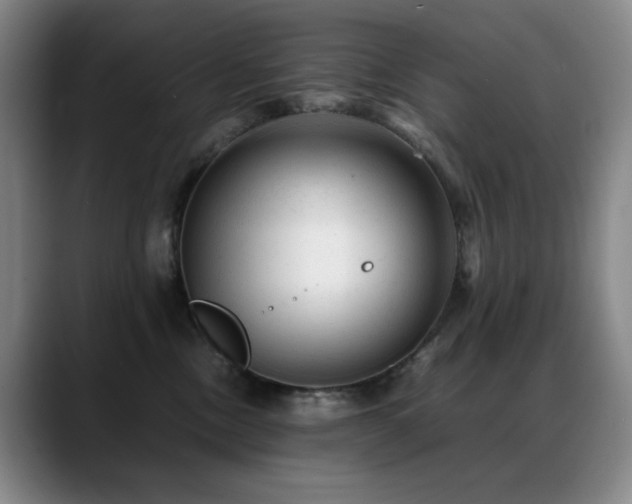 X0000089450378200706151436