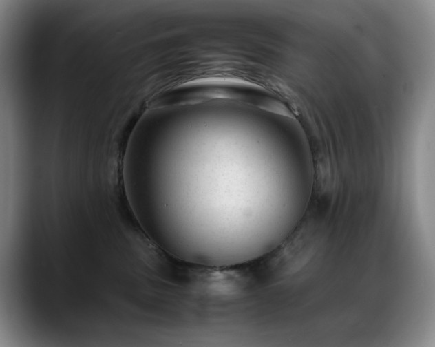 X0000089450379200706151436
