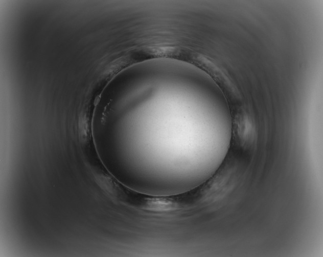 X0000089450380200706151436