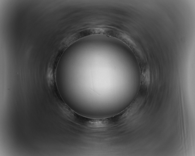 X0000089450381200706151436