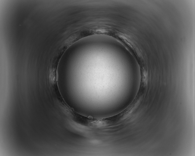 X0000089450383200706151436