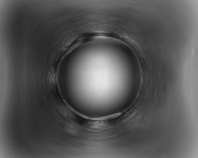 X0000089450384200706151436