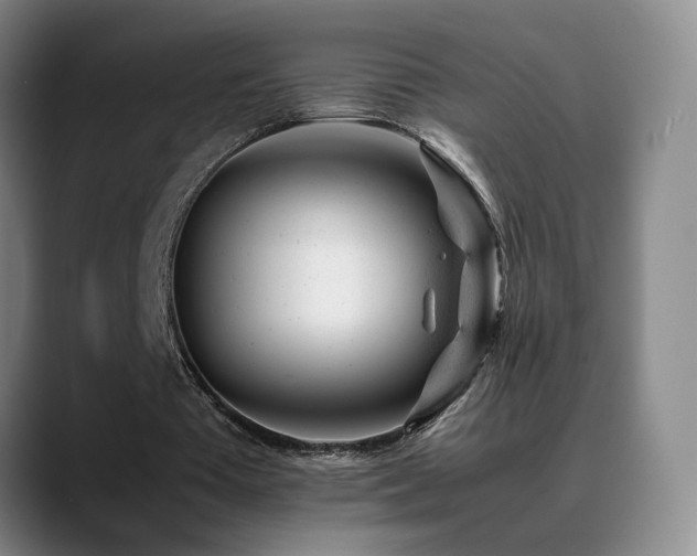 X0000089450385200706151435