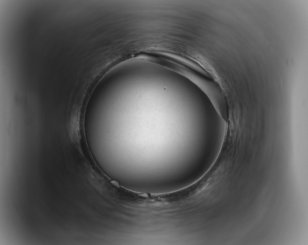 X0000089450386200706151435
