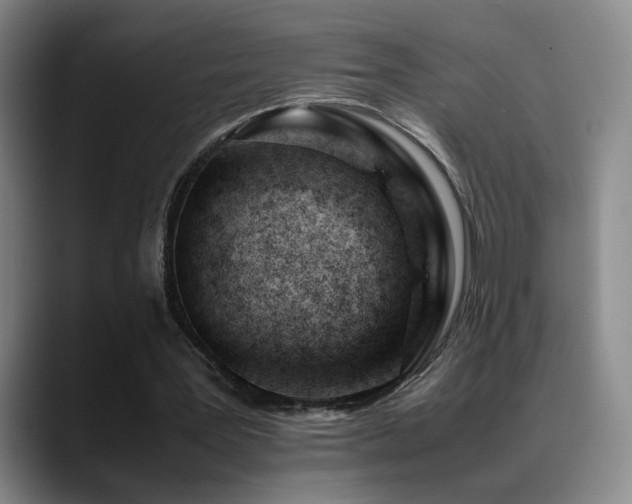 X0000089450387200706151435