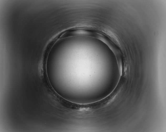 X0000089450388200706151435