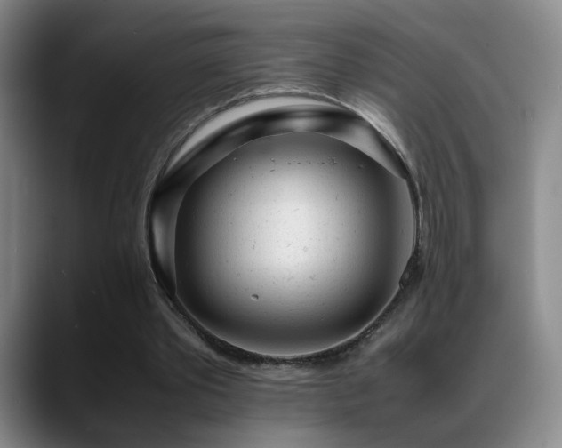 X0000089450389200706151435